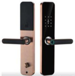 Serrure Smart SN-AF8