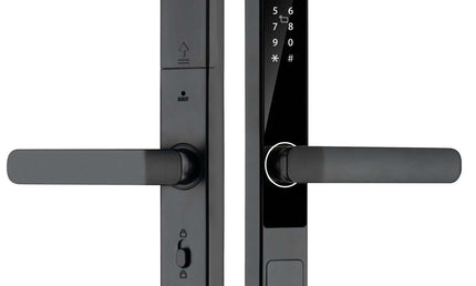 Serrure Smart SN-S608