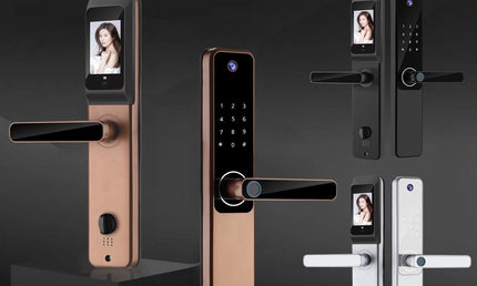 Serrure Smart SN-S802Pro