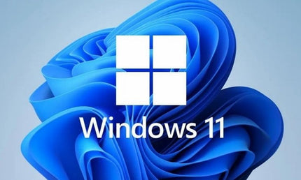 Windows 11 Pro 64 Bit Français