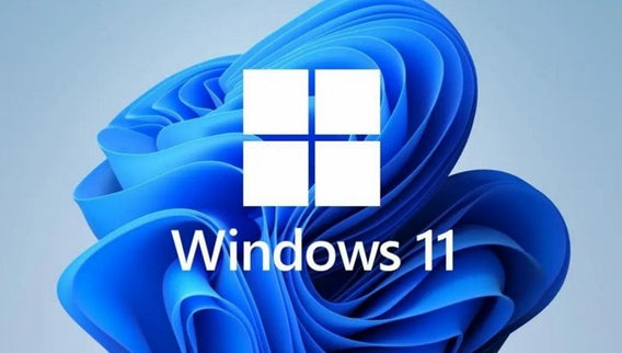 Windows 11 Pro 64 Bit Français